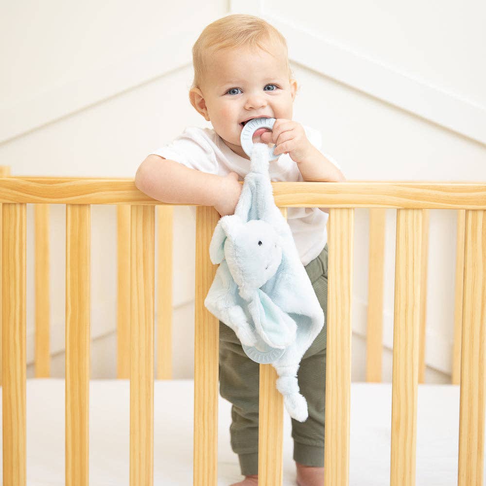 Bella Tunno - Teether Buddy Danny the Dog