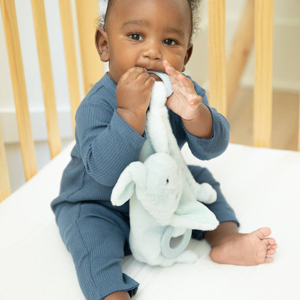 Bella Tunno - Teether Buddy Danny the Dog