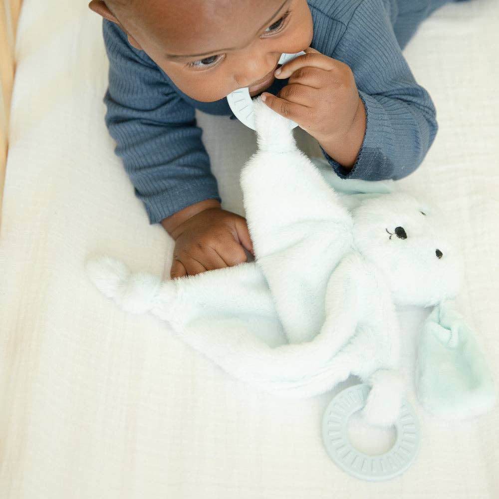 Bella Tunno - Teether Buddy Danny the Dog