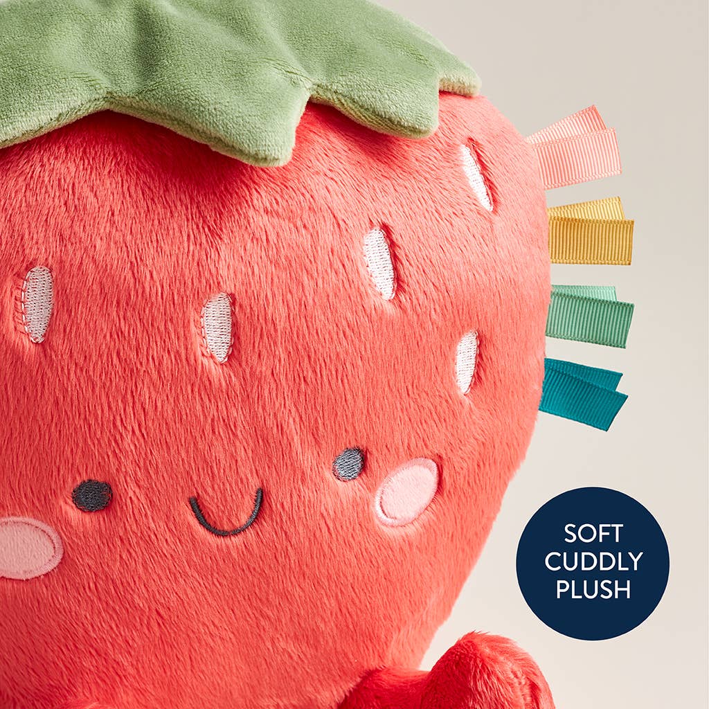 Itzy Ritzy - *NEW* Sweetie Snuggles™ Plush: Bear