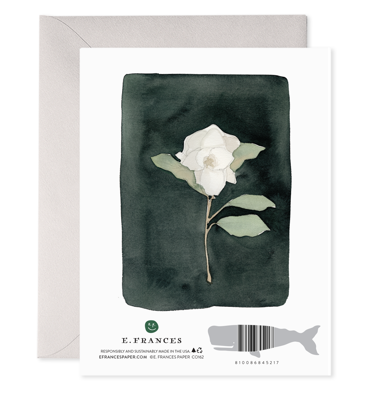 E. Frances Paper - White Flower | Sympathy & Condolence Greeting Card