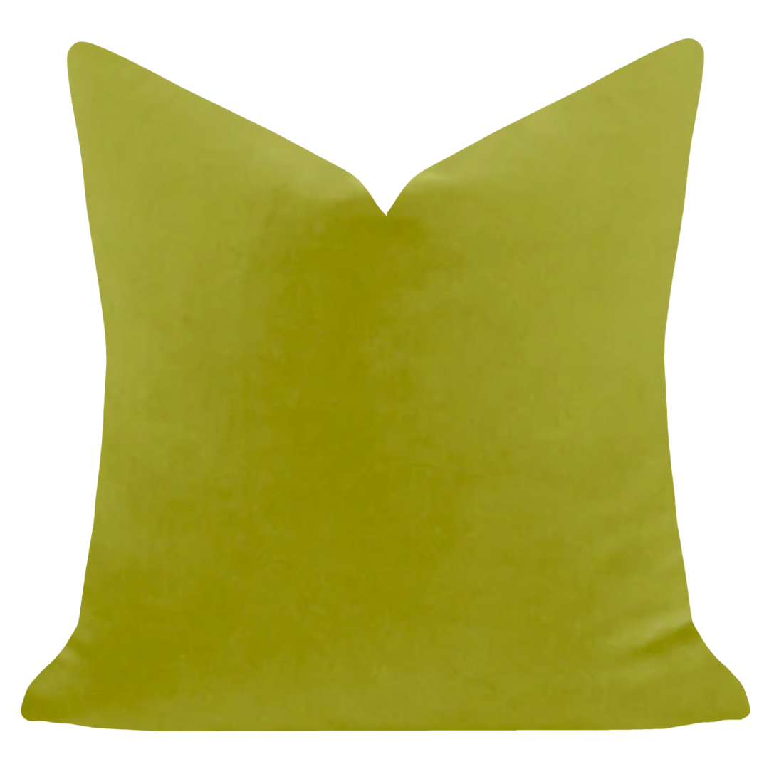 Laura Park Designs - Green 22x22 Solid Velvet Pillow